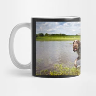 Going for a paddle Spinone Mug